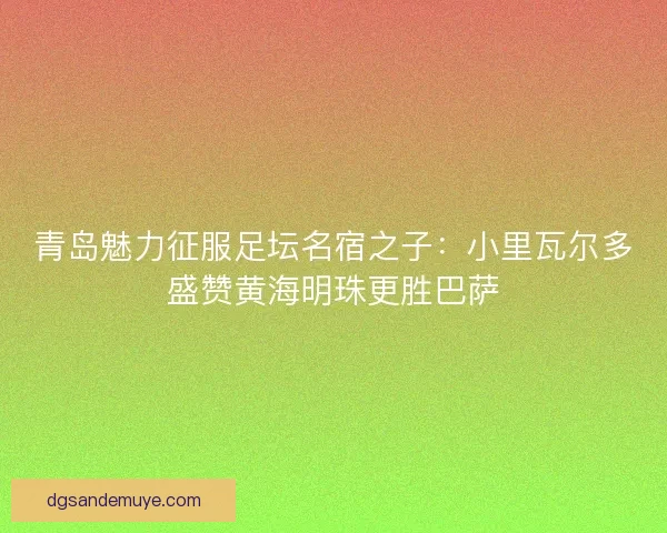 青岛魅力征服足坛名宿之子：小里瓦尔多盛赞黄海明珠更胜巴萨
