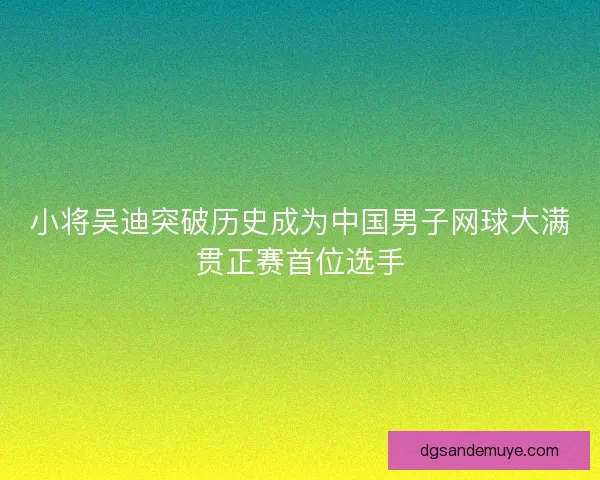 小将吴迪突破历史成为中国男子网球大满贯正赛首位选手