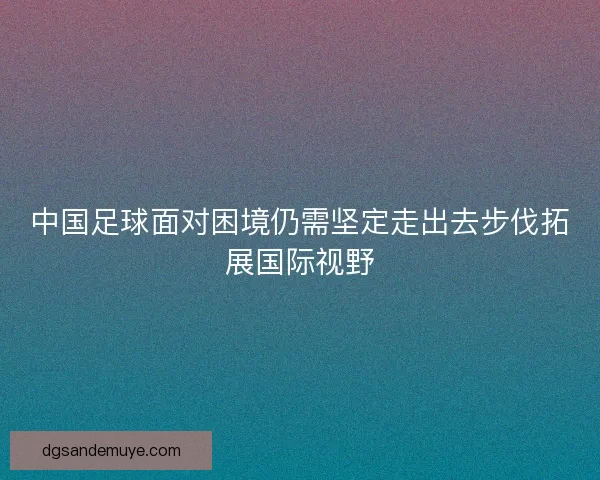 中国足球面对困境仍需坚定走出去步伐拓展国际视野