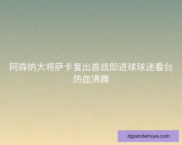 阿森纳大将萨卡复出首战即进球球迷看台热血沸腾 阿森纳大将萨卡复出首战即进球球迷看台热血沸腾